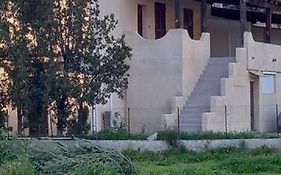 U Palmu